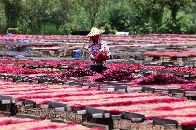 A Fragrance Making Enterprise in Quanzhou