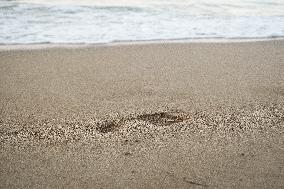 A Footprint In The Sand