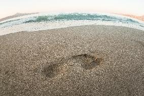 A Footprint In The Sand