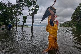 Flood Crisis Bangladesh