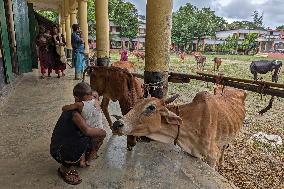 Flood Crisis Bangladesh