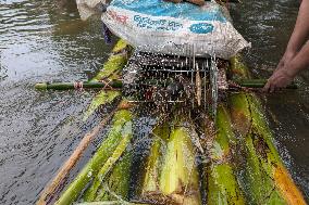 Flood Crisis Bangladesh