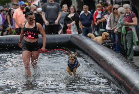 Pet-A-Palooza Event - Vancouver