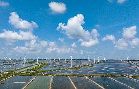 Wind Turbines Rotate in Vast Coastal Flat in Yancheng