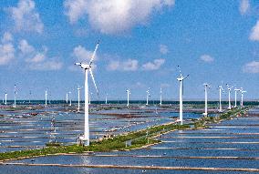 Wind Turbines Rotate in Vast Coastal Flat in Yancheng