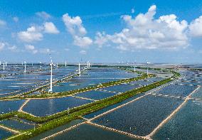 Wind Turbines Rotate in Vast Coastal Flat in Yancheng