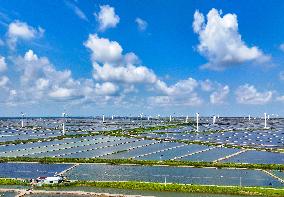 Wind Turbines Rotate in Vast Coastal Flat in Yancheng