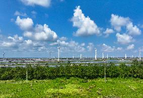 Wind Turbines Rotate in Vast Coastal Flat in Yancheng