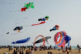 Kite Festival - Brittany