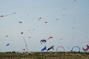 Kite Festival - Brittany