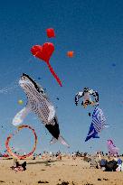 Kite Festival - Brittany