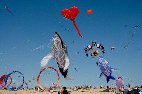 Kite Festival - Brittany