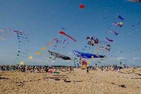 Kite Festival - Brittany