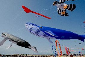 Kite Festival - Brittany