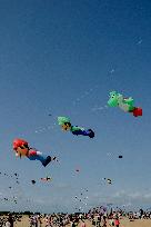 Kite Festival - Brittany