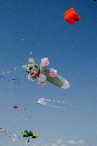 Kite Festival - Brittany