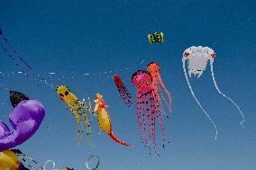 Kite Festival - Brittany