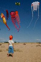 Kite Festival - Brittany