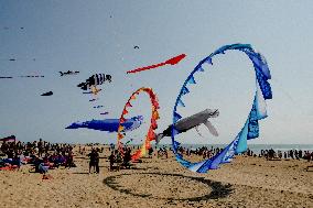 Kite Festival - Brittany