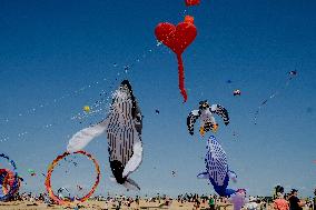 Kite Festival - Brittany