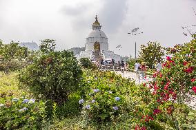 World Peace Pagoda In Pokhara