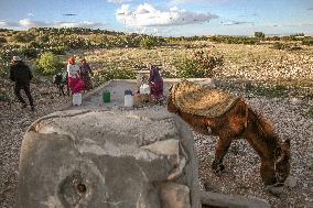 Rural Areas And Water Stress In Tunisia