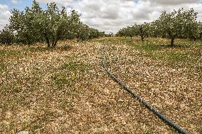 Rural Areas And Water Stress In Tunisia