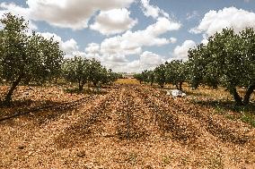 Rural Areas And Water Stress In Tunisia