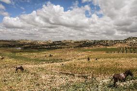 Rural Areas And Water Stress In Tunisia