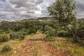 Rural Areas And Water Stress In Tunisia