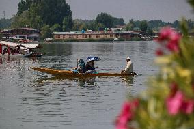 Weather In Kashmir