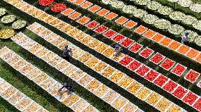 Drying Agricultural Products - China