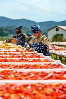 Drying Agricultural Products - China