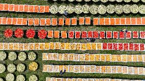 Drying Agricultural Products - China