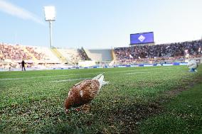 Fiorentina v Venezia - Serie A