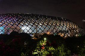 Shenzhen Talent Park Night View