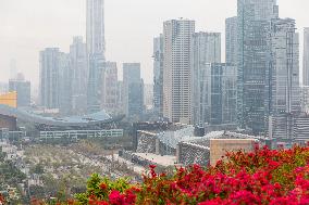 High-rise Buildings in Shenzhen