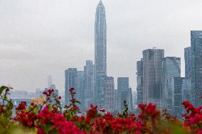 High-rise Buildings in Shenzhen