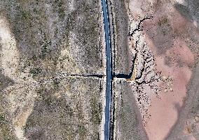 Tree Shape in Nagqu