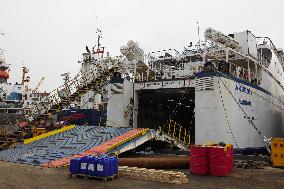 Freedom Flotilla Ready To Set Sail For Gaza - Istanbul