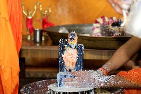 Krishna Janmashtami Festival At Radha Damodar Ji Temple In Jaipur