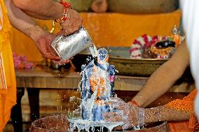 Krishna Janmashtami Festival At Radha Damodar Ji Temple In Jaipur