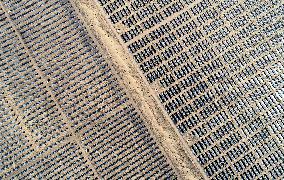 Photovoltaic Base In Mongolia Autonomous Region - China