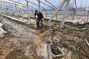 Rainstorm Hit Agriculture