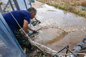 Rainstorm Hit Agriculture