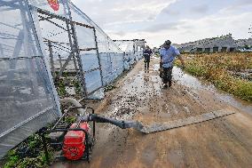 Rainstorm Hit Agriculture