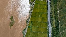 Yellow River Scenery - China