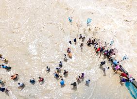 Fishing In Bangladesh