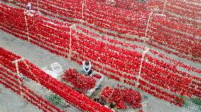 Farmers Dry Chili Peppers in The Sun