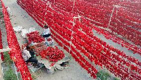 Farmers Dry Chili Peppers in The Sun